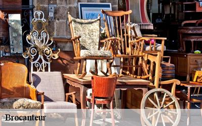 Brocanteur Tarn 