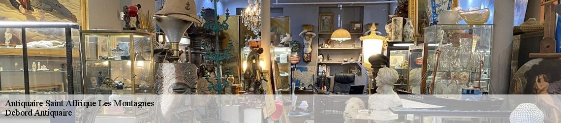 Antiquaire  saint-affrique-les-montagnes-81290 Debord Antiquaire 