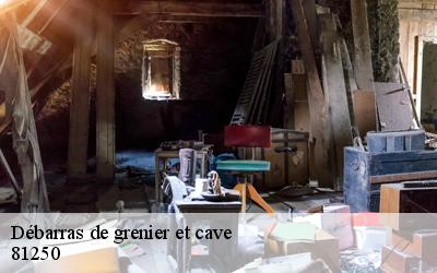 Débarras de grenier et cave  81250