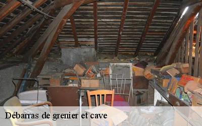 Débarras de grenier et cave  81000