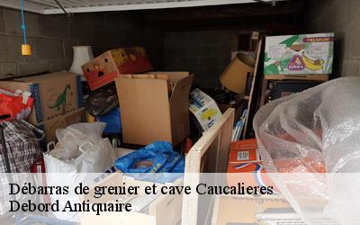 Débarras de grenier et cave  81200