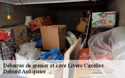 Débarras de grenier et cave  81170