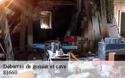 Débarras de grenier et cave  81660